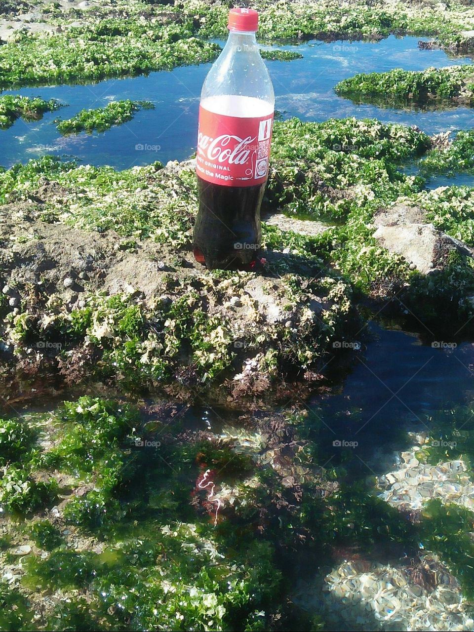 delicious bottle of fresh coca cola.