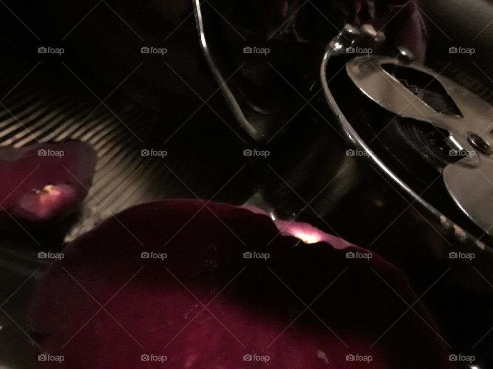 Royal Ribbon and Rose