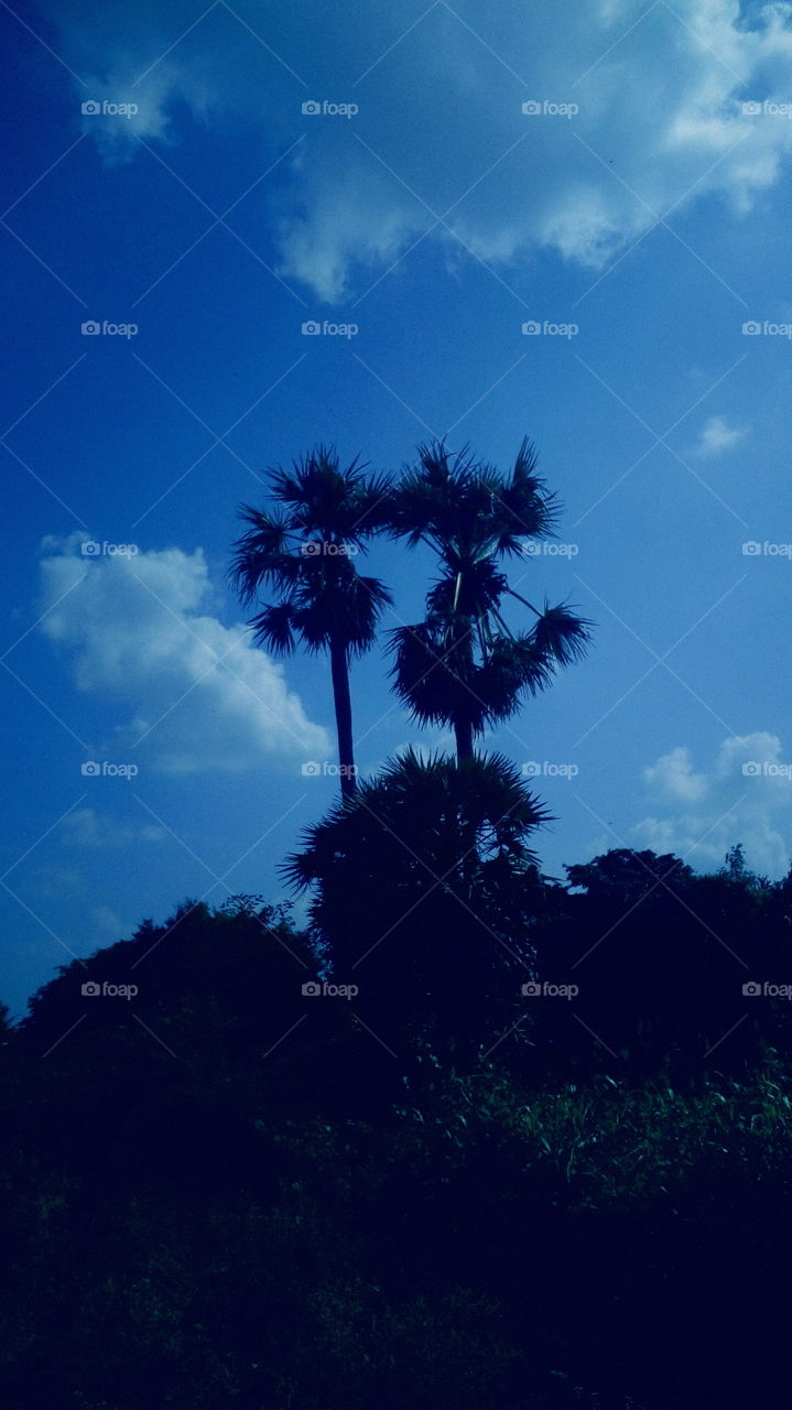 the most beautiful deep blue sky