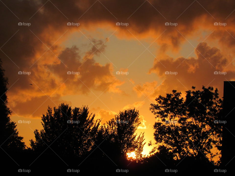 The Sun. Taken from my window.