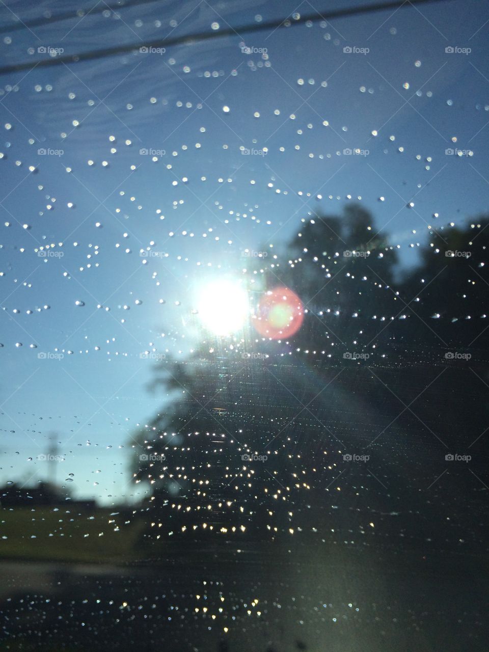 Windshield and sunny drops 