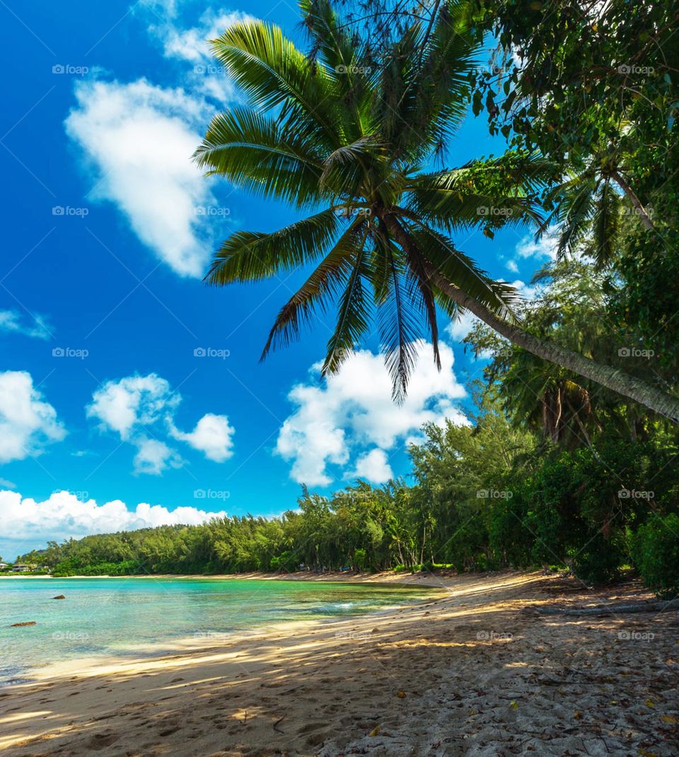 Oahu north shore, Hawaii