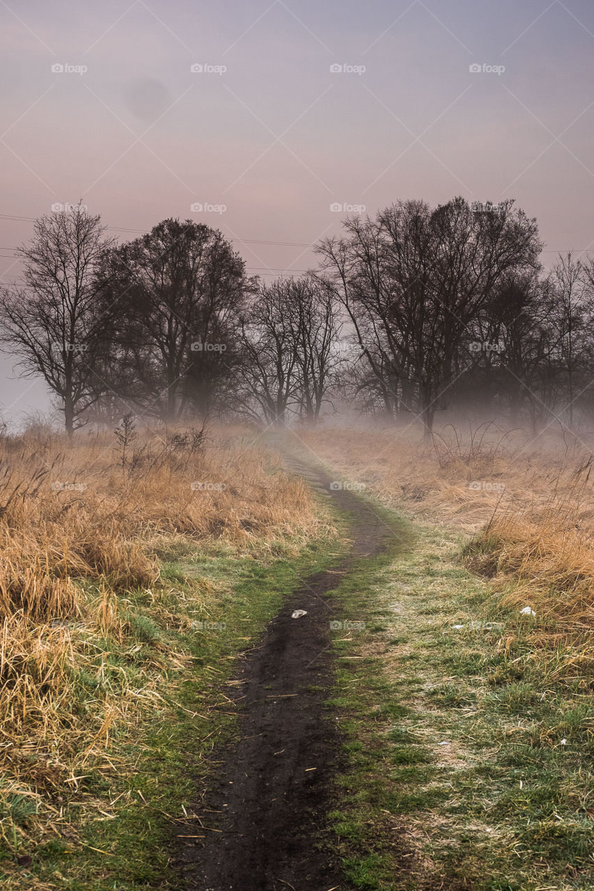 Głogów, Poland