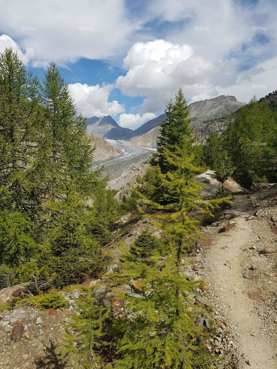 View of the Aletsch Glacier