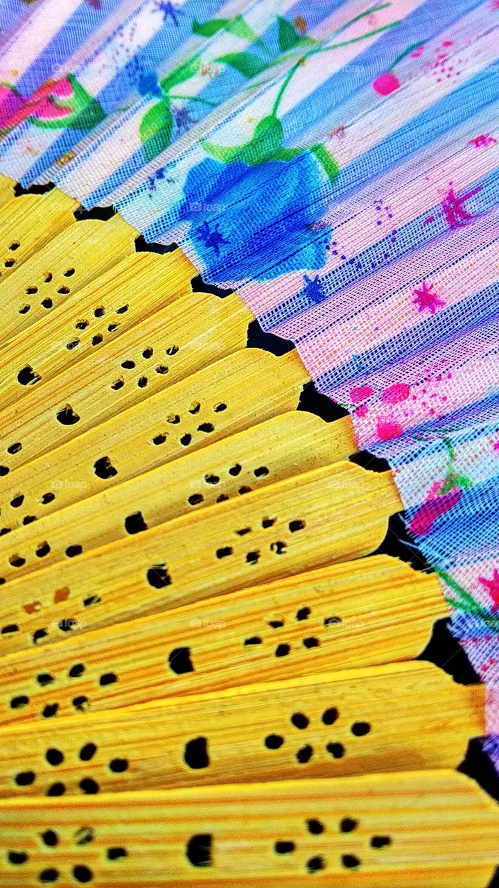 fan