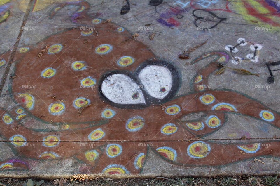 chalk drawing of a spotted octopus