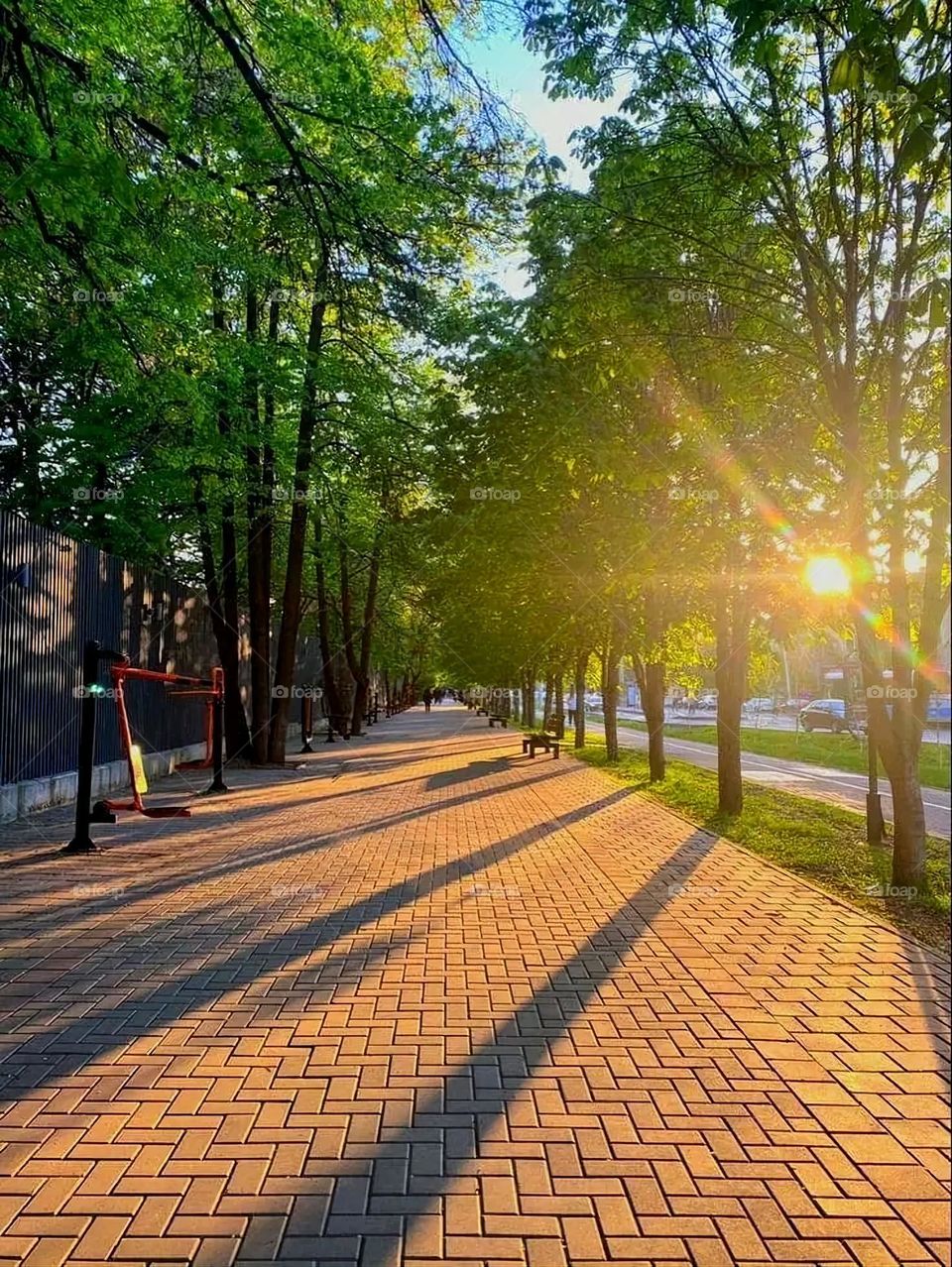 A very beautiful picture, and there is no better picture than it. There is no better picture of green herbs and colorful, red and white roses than it. Glory be to God, the natural and picturesque view, and there is no more wonderful picture than it.