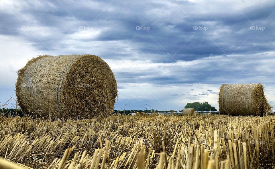 Rolls of hay on the farmfield under a threatening Clouded stormy sky after the harvesting.