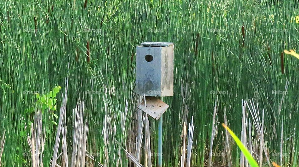 Empty Birdhouse