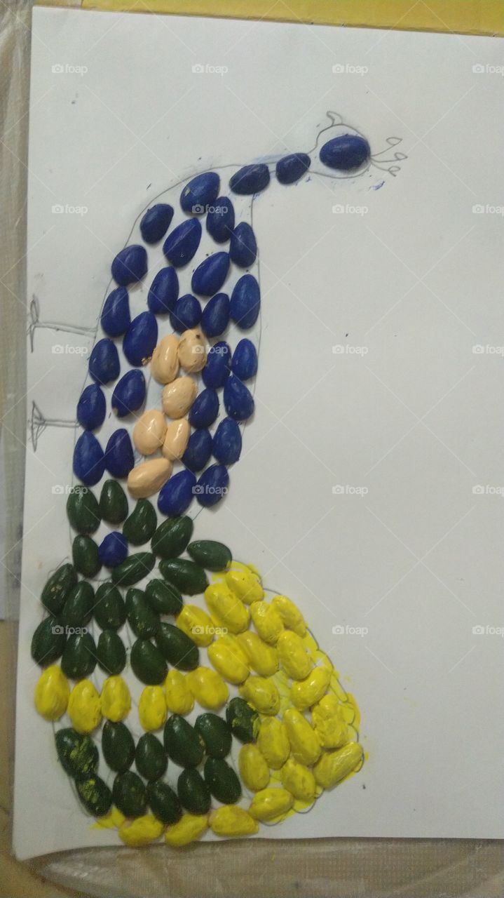 peacock with pista shell