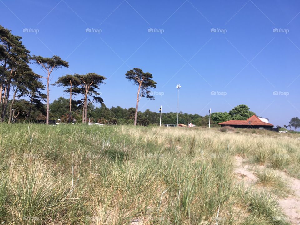 sunny day at the beach
