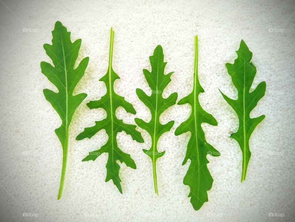 5 leafes of arugula