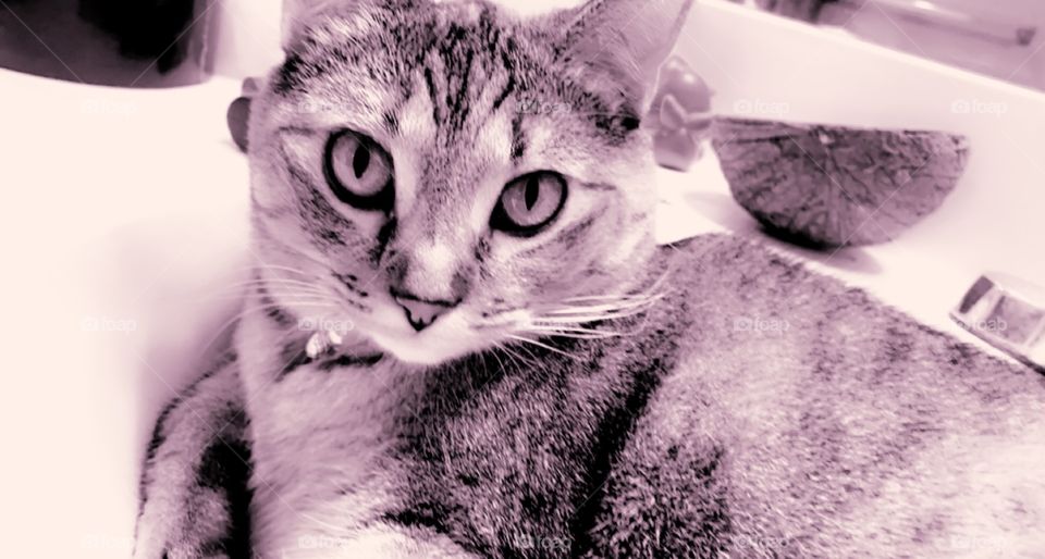 Precious little Luna Lu