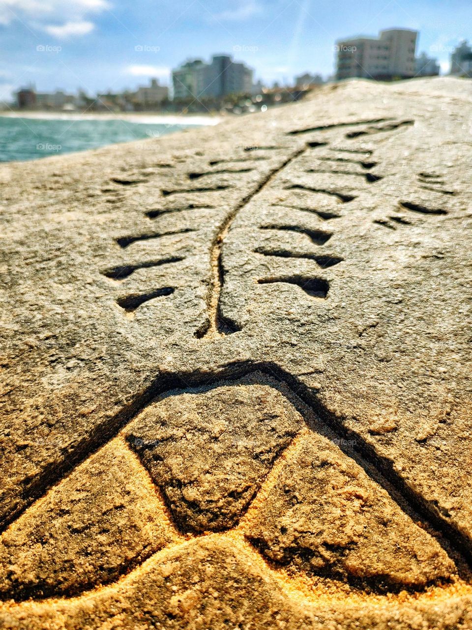 closeup of one of the drawings made many years ago, of the stones on the beach of Cavaleiros in Macaé RJ -Brazil.  A beautiful job.