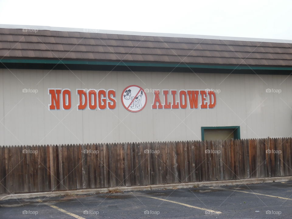 No dogs allowed