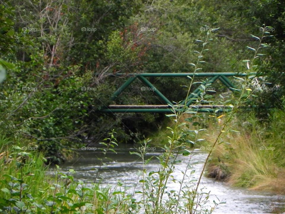 Skagway bridge . A bridge in Skagway Alaska