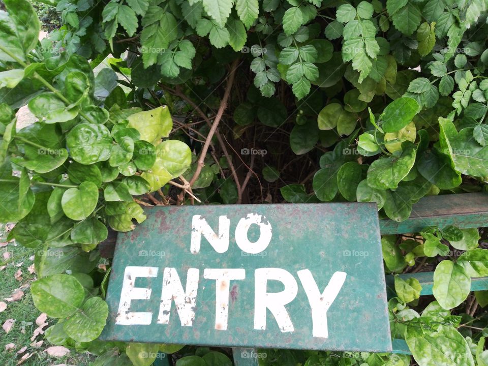 No entry