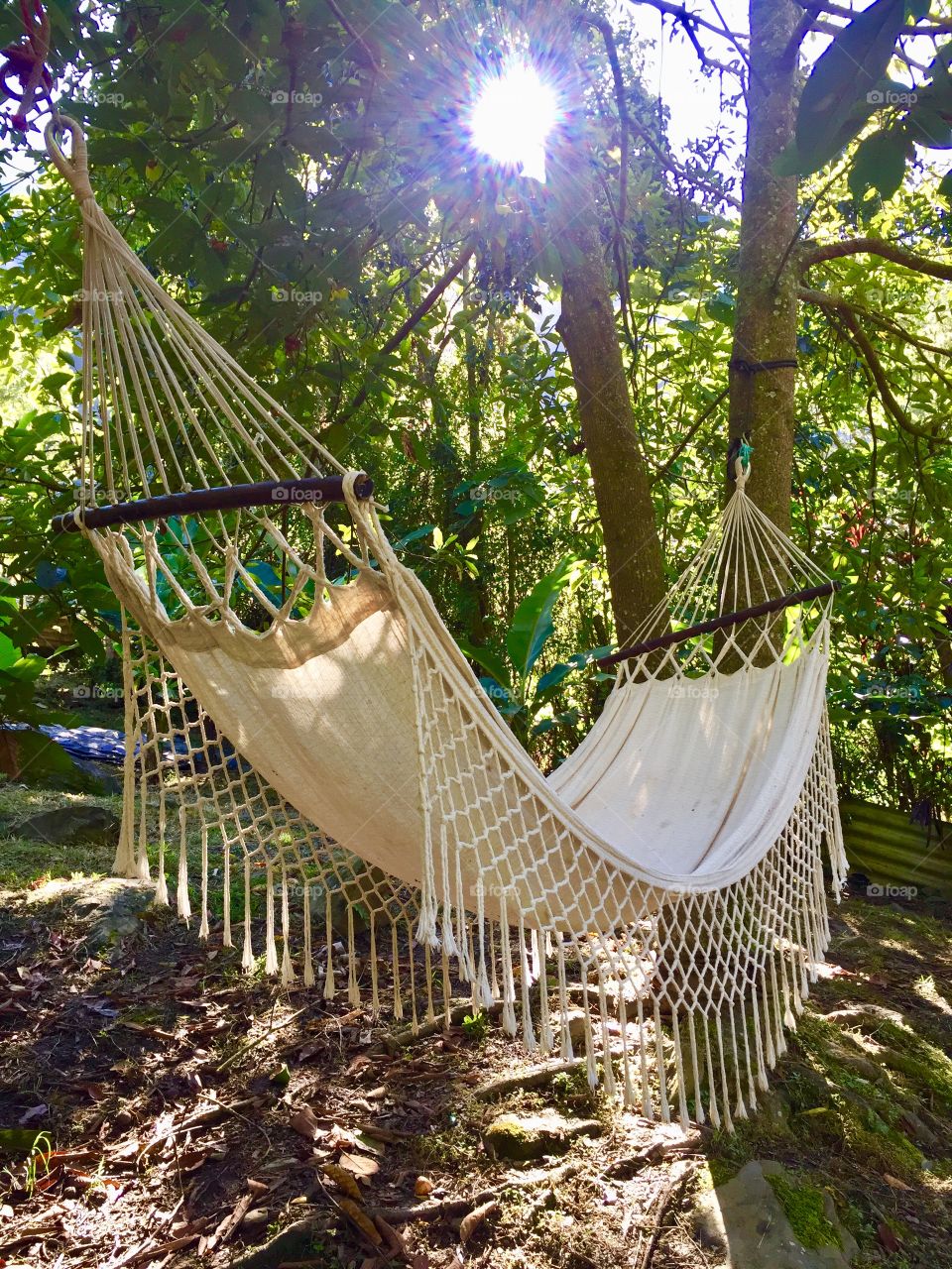 Preparándome para Disfrutar de un día soleado 