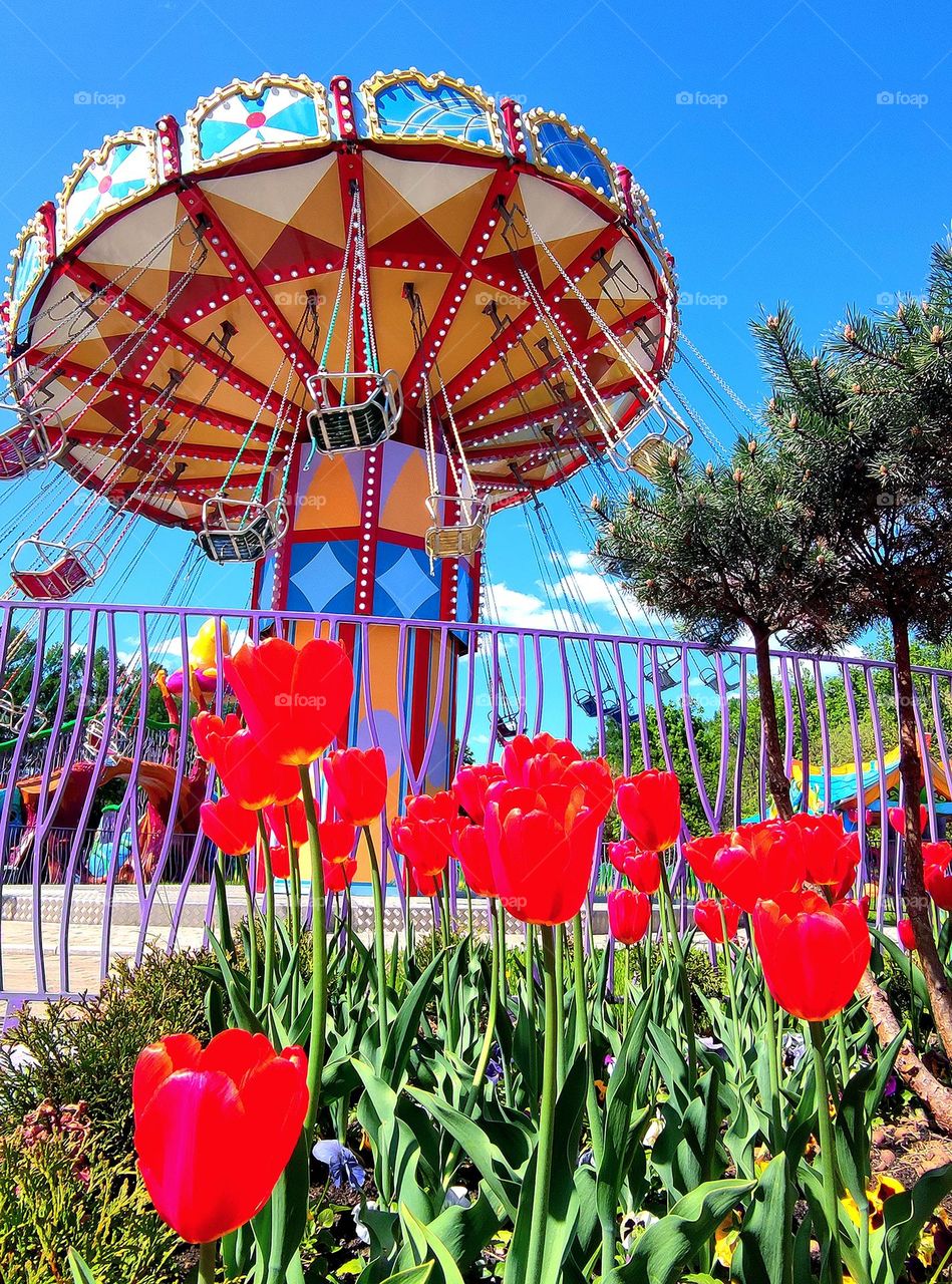 Nature.  Plants.  In the foreground are red tulips.  In the background, a colorful carousel surrounded by green trees.  Blue sky