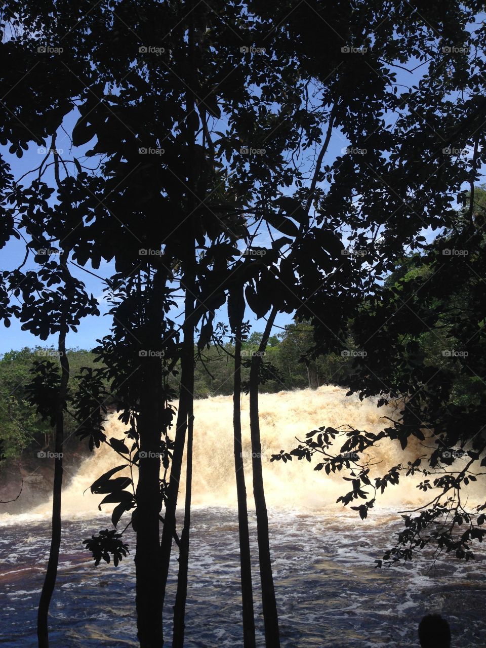 Cachoeira - Floresta Amazônica, Brasil / Watherfall
