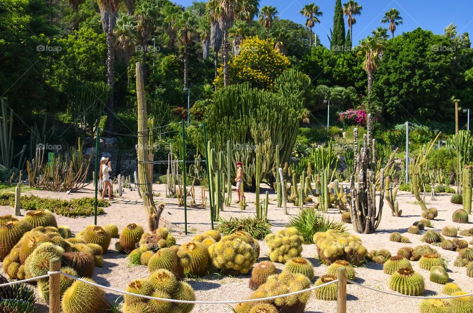 Marimutra Botanical Gardens in Blanes, Spain. Includes over 4000 different plant species