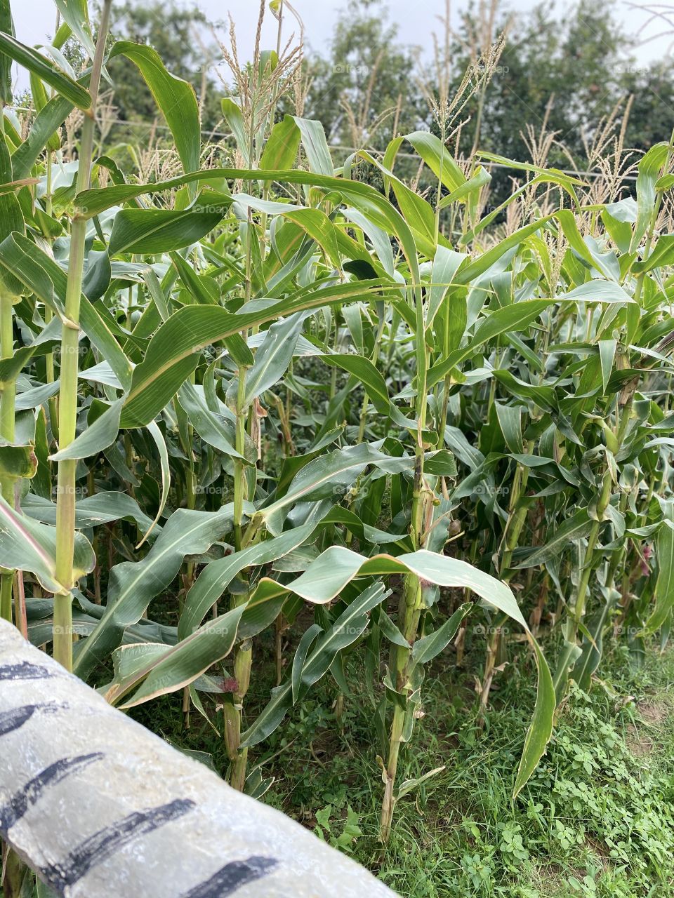 Beautiful weather today very nice and cold 🥶