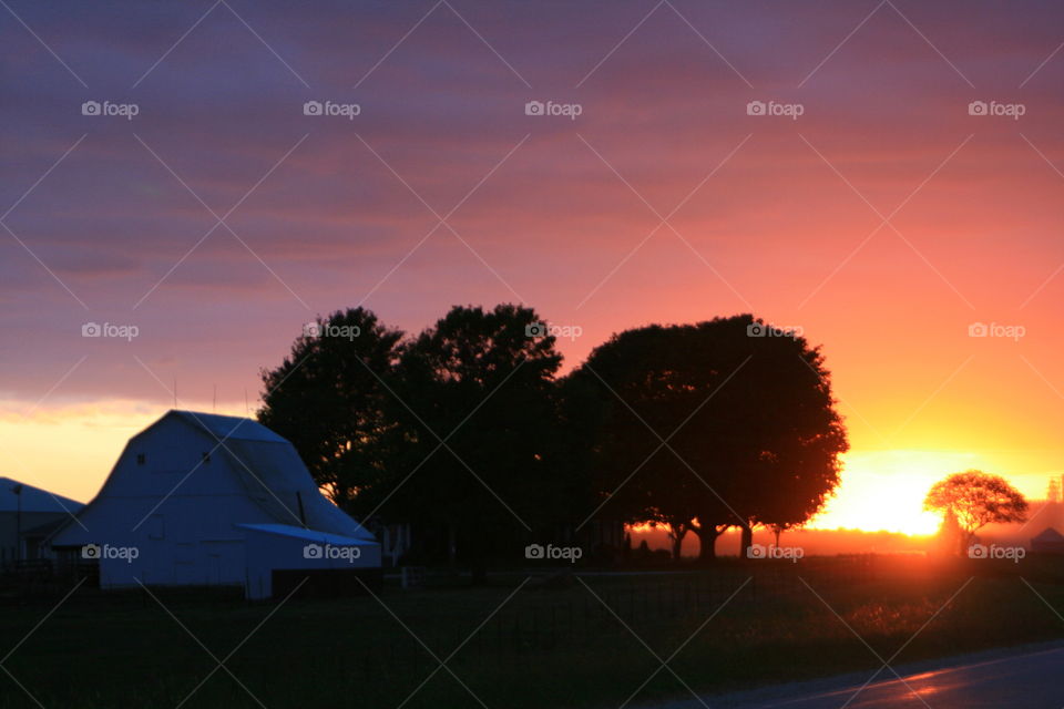 Sunset on the Farm 