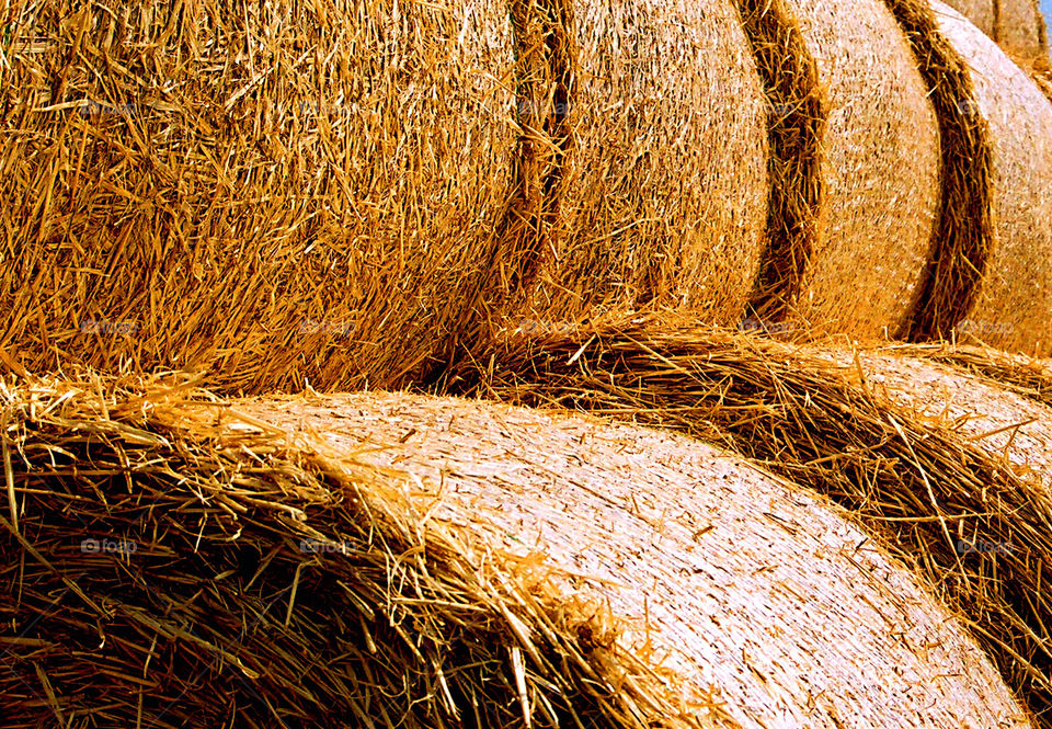Close-up of hay bale