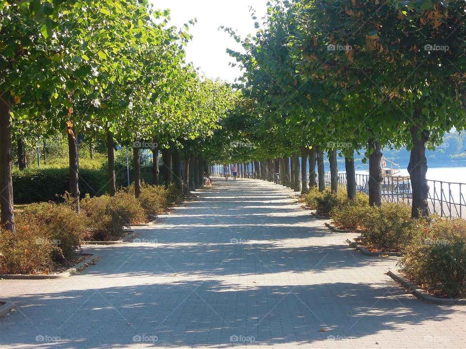 Weg am Rhein in Bonn