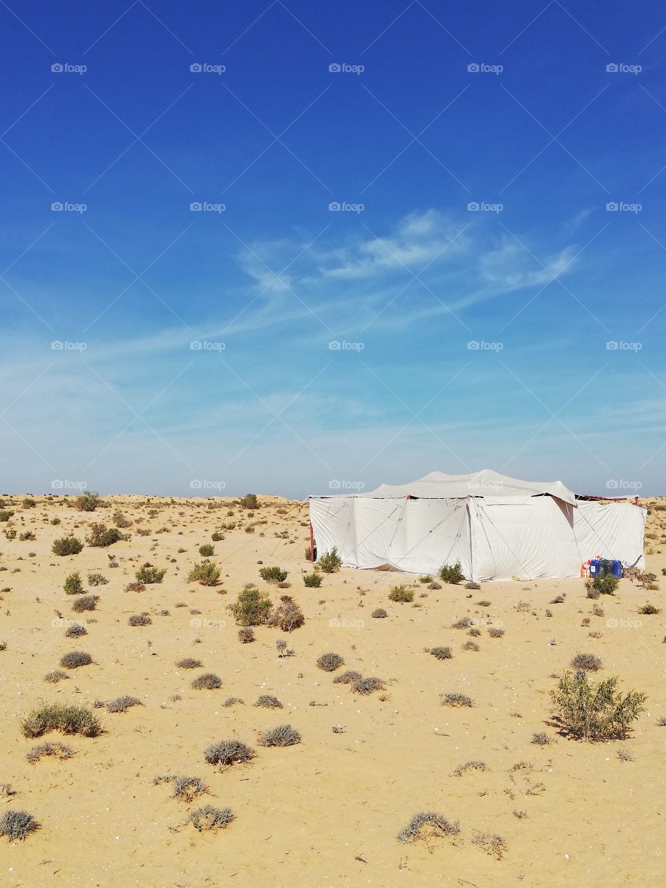Dessert tent for safari