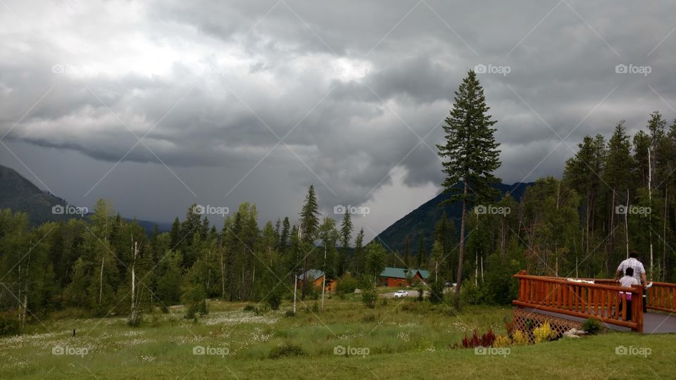 Landscape, No Person, Wood, Tree, Outdoors