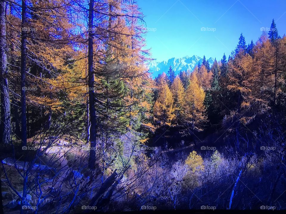 Beautiful Alps mountain 