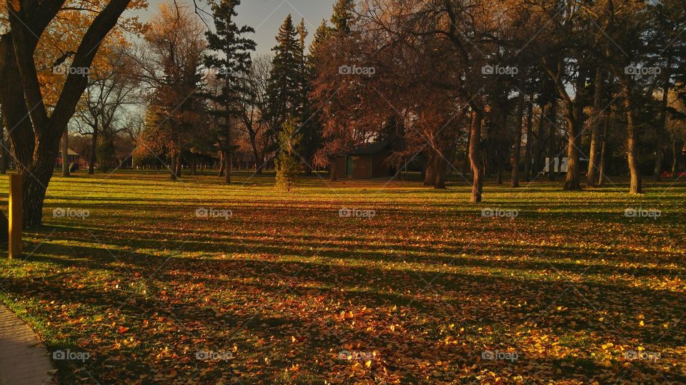 Autumn sunset cascade