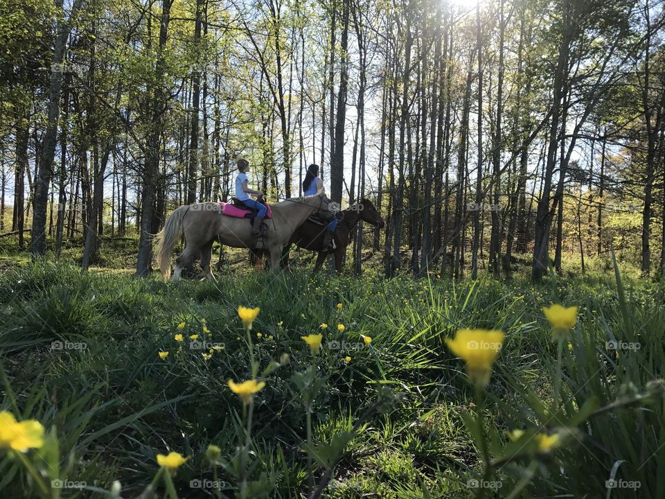 Trail riding 