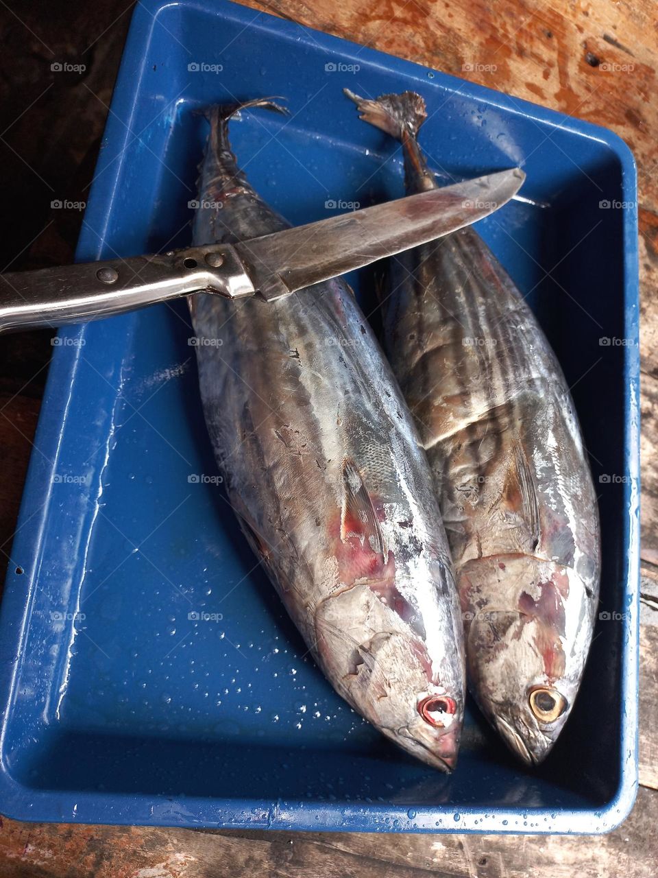 Fish that is ready to be sliced ​​or cooked