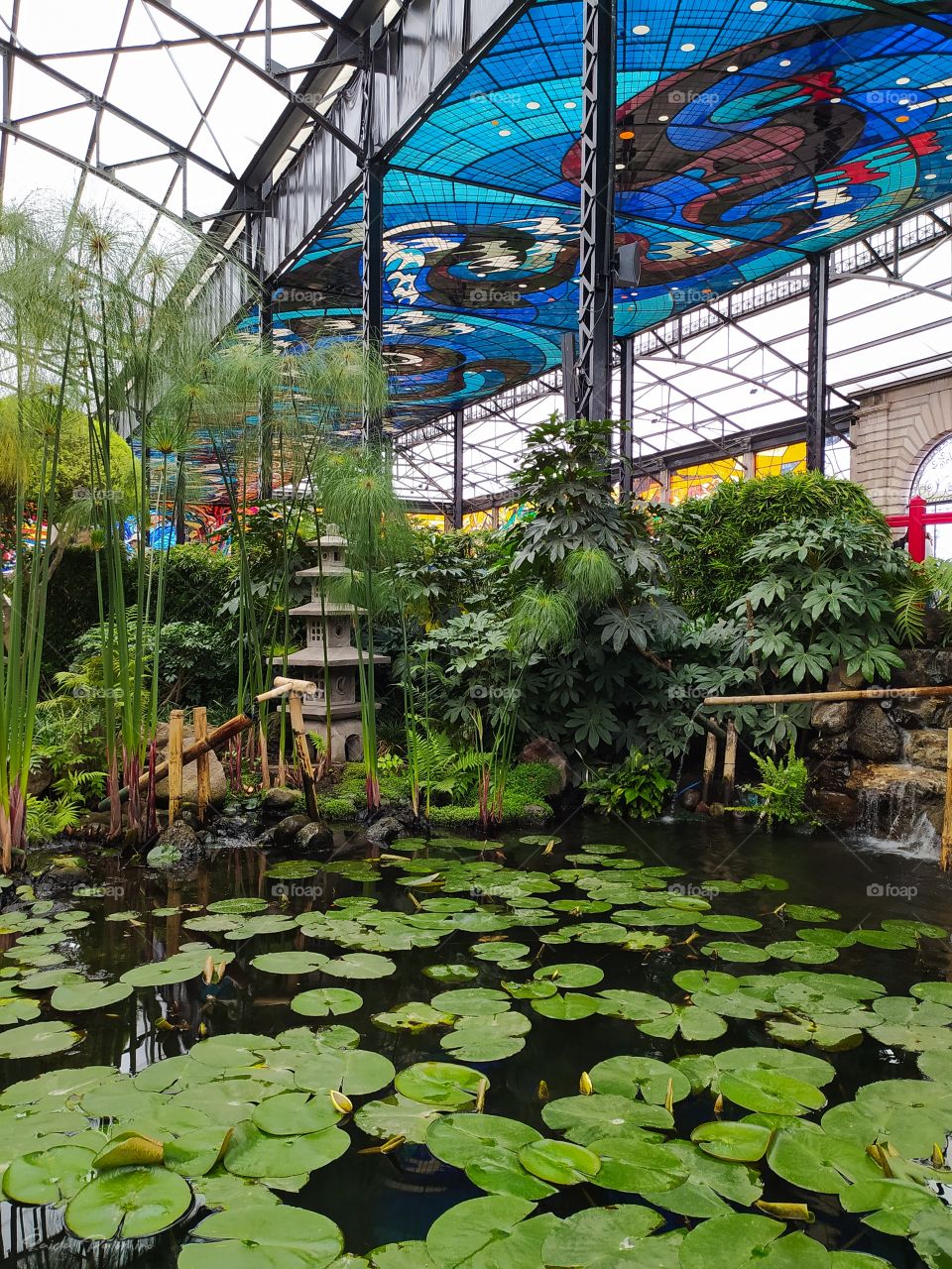 Small oriental garden