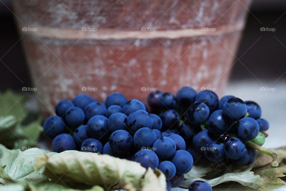 Red grapes