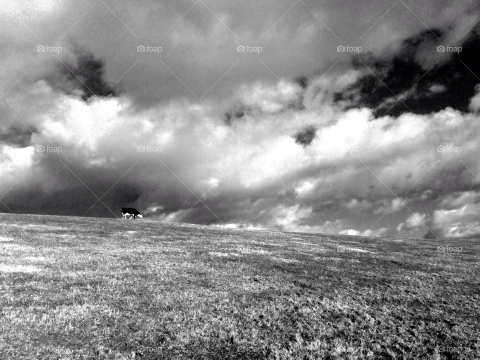 dorset grass clouds hill by bencobb