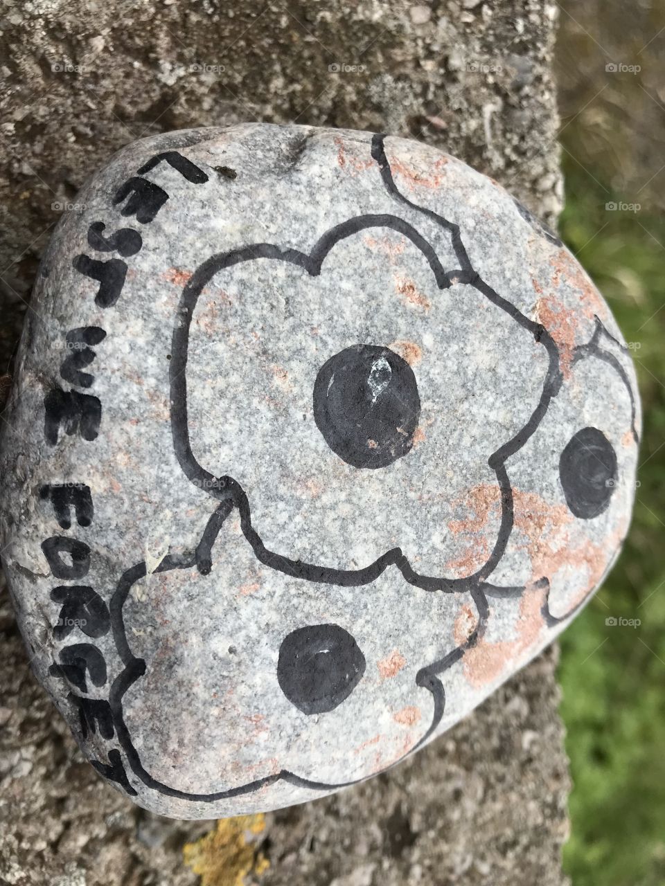 This poignant remembrance of the fallen in two world wars, l found abandoned on a bench. I have made sure as the message says “ lest we forget.”