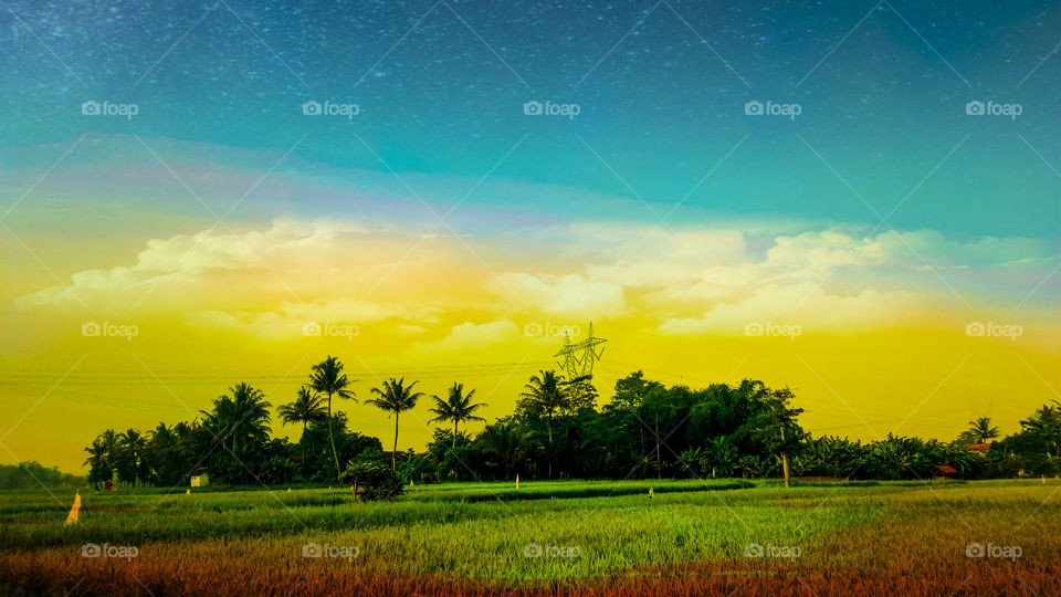 nature green photo smartphone style