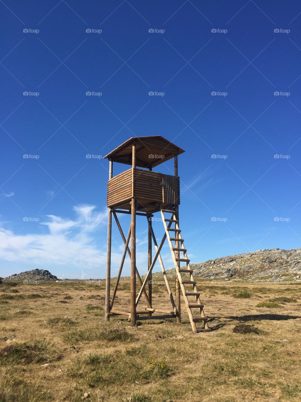 Funny structure used as a viewpoint, birdwatching place 