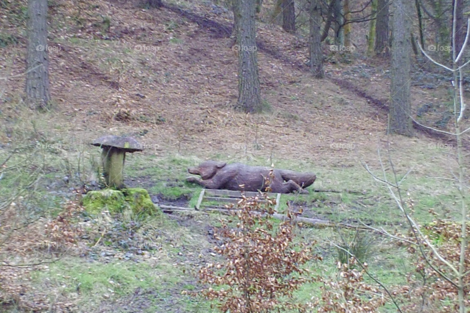 toadstool and wolf wooden carvings children are able to sit on both by pawright68