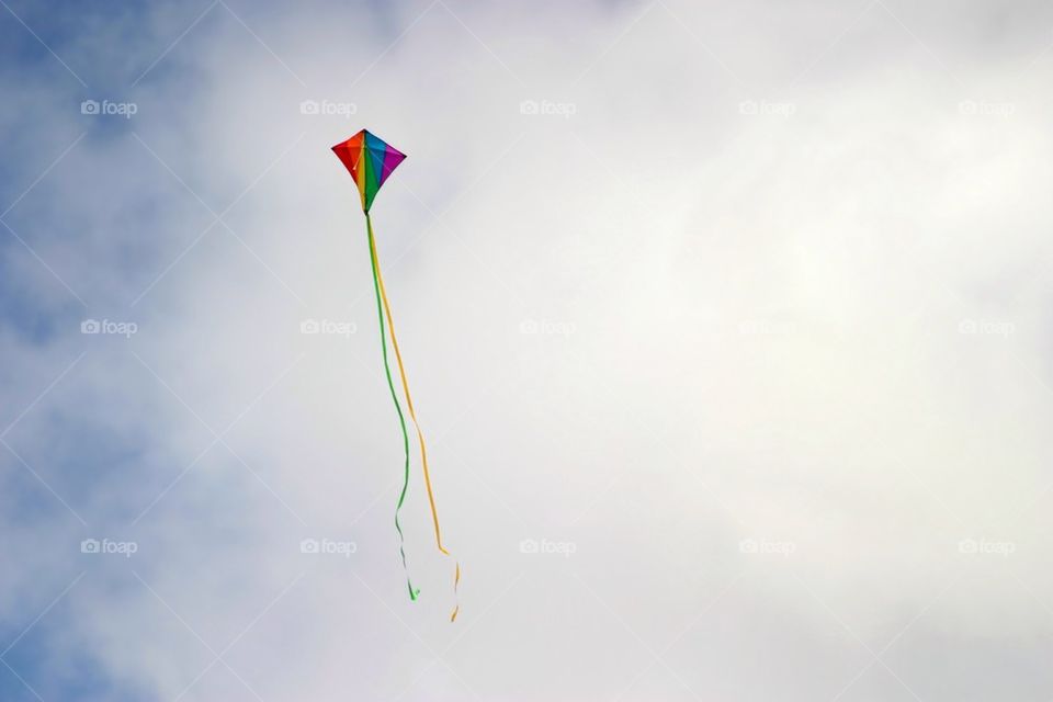 Kite