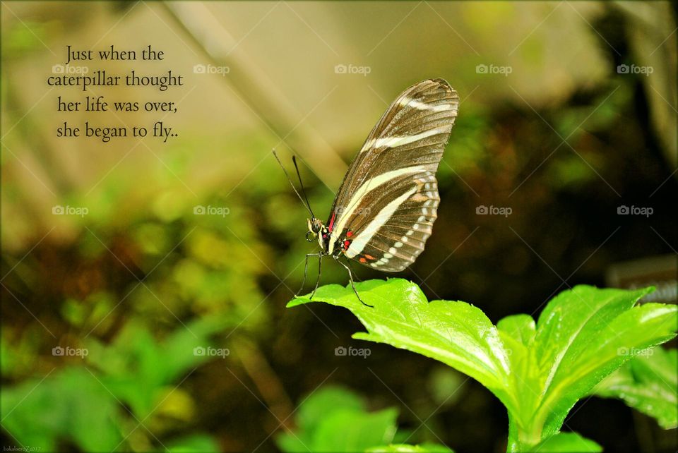 Quotes and sayings words about real life talking think about it inspiration motivation giving positive vibes wonderful day hustling daydreaming naturalism adventure time