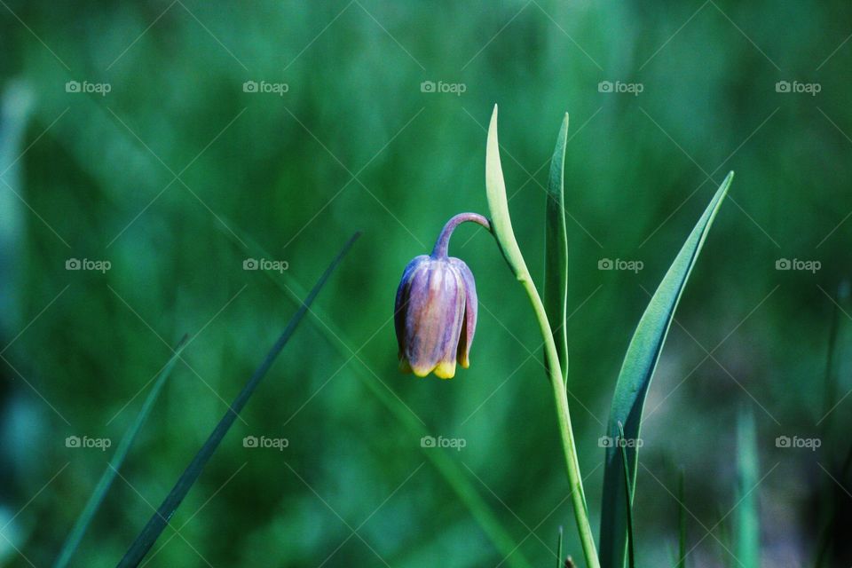 Something simple can become something beautiful!