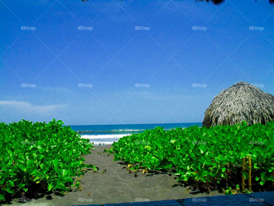 The Path To Paradise 