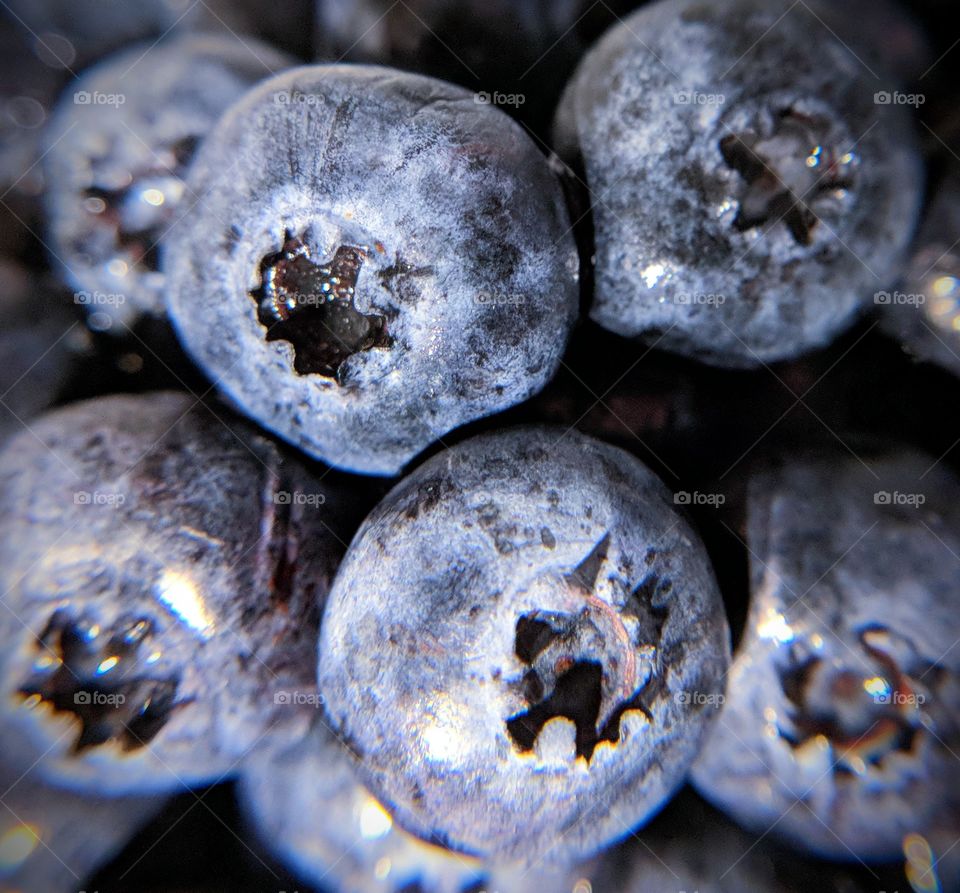 blueberries macro