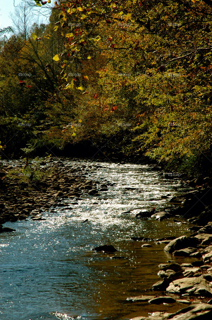 Fall, Water, No Person, River, Nature