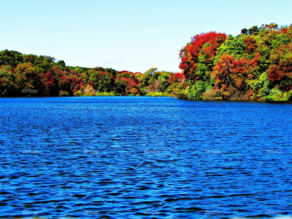 Idyllic view of lake