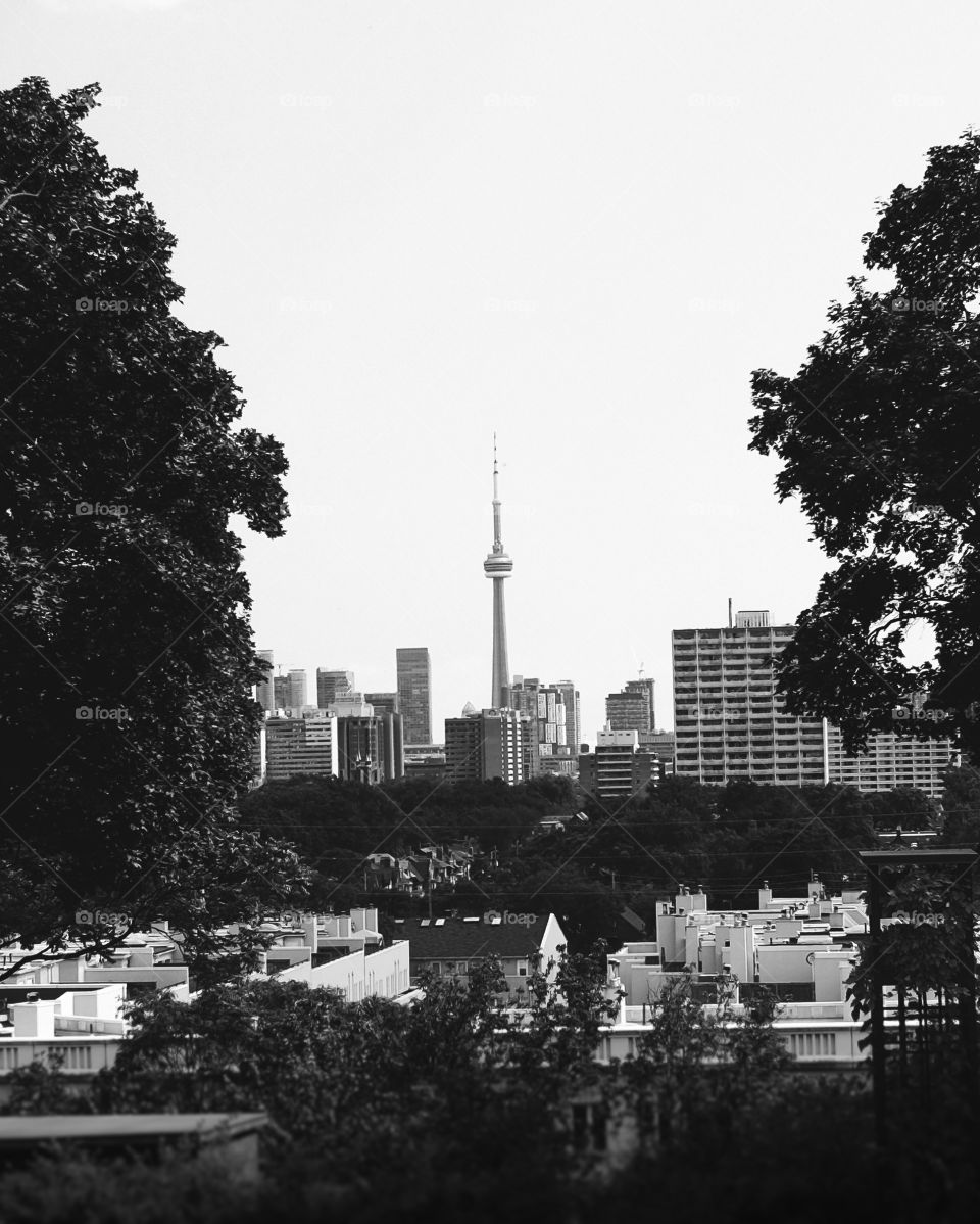 Stand out from the rest